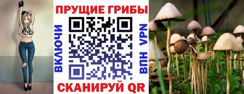 Псилоцибиновые грибы мухоморы  как найти закладки  Ардон 